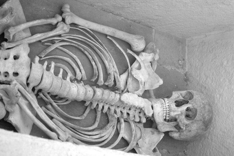 В Греции обнаружены останки самого древнего человека в Евразии